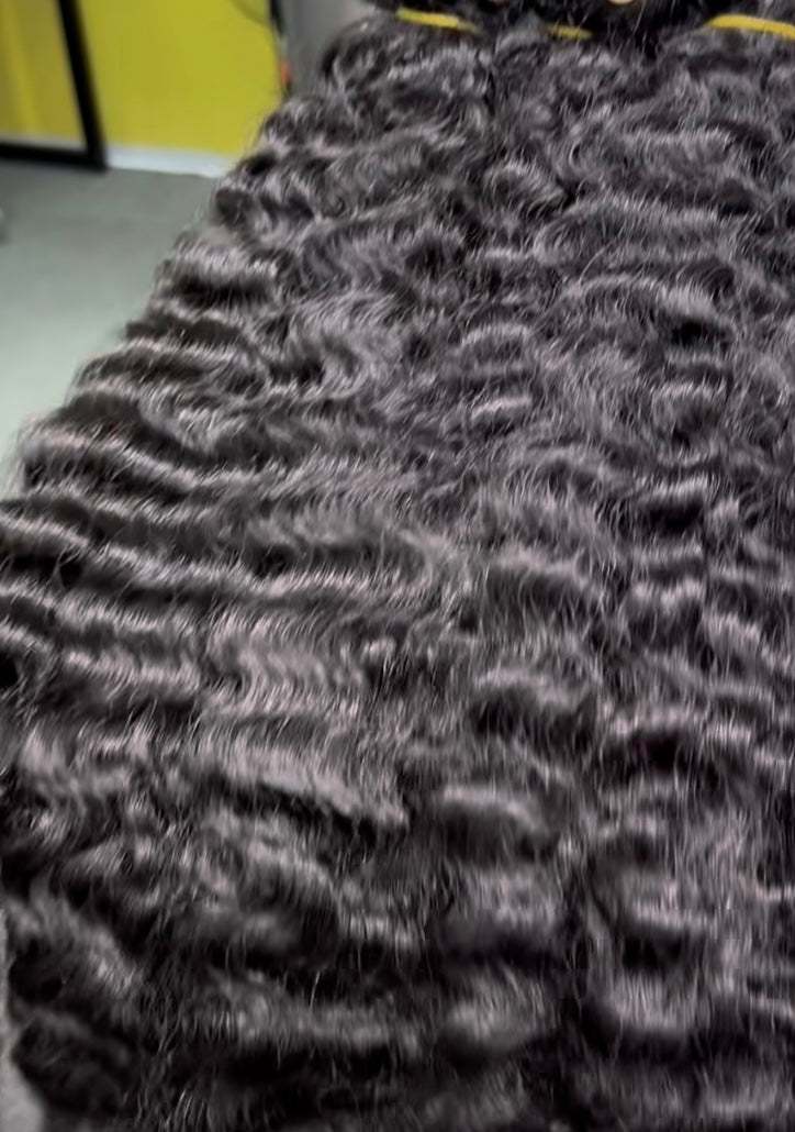 Raw Burmese Curly